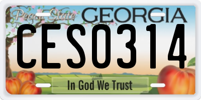 GA license plate CES0314