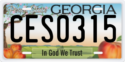 GA license plate CES0315