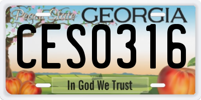 GA license plate CES0316