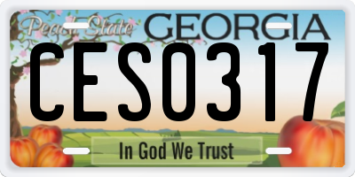GA license plate CES0317