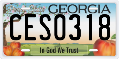 GA license plate CES0318