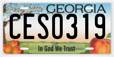 GA license plate CES0319