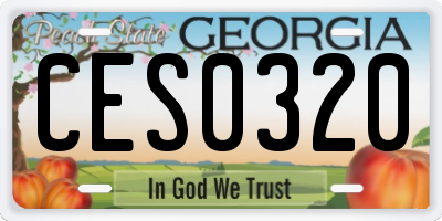 GA license plate CES0320