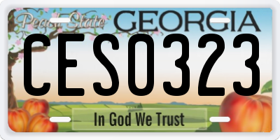GA license plate CES0323