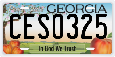 GA license plate CES0325