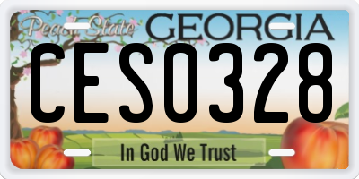 GA license plate CES0328
