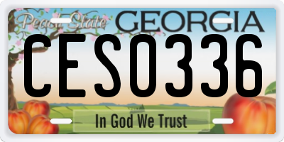 GA license plate CES0336