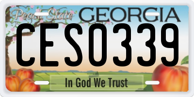 GA license plate CES0339