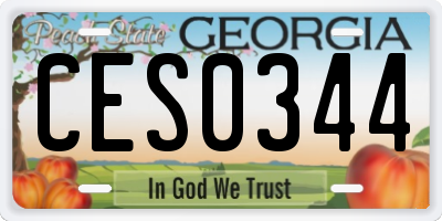GA license plate CES0344