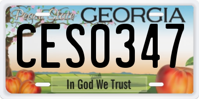 GA license plate CES0347