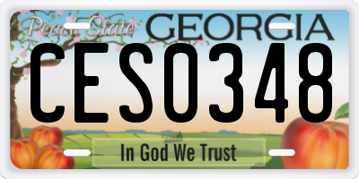 GA license plate CES0348