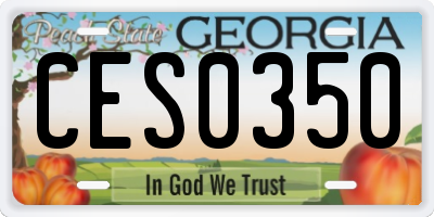 GA license plate CES0350