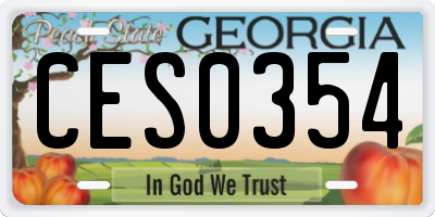GA license plate CES0354