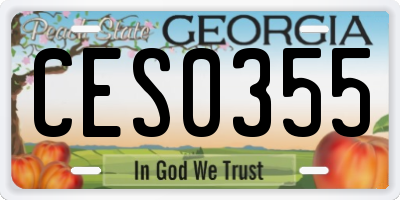 GA license plate CES0355