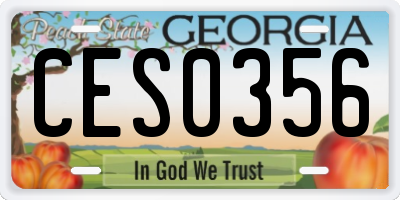 GA license plate CES0356