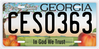 GA license plate CES0363