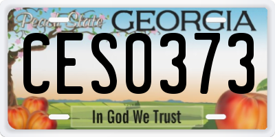 GA license plate CES0373