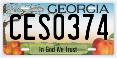 GA license plate CES0374