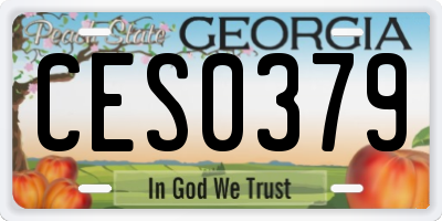GA license plate CES0379