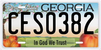 GA license plate CES0382