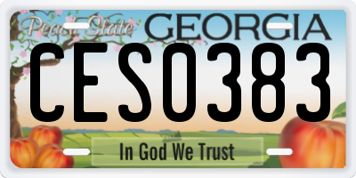 GA license plate CES0383