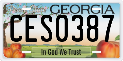 GA license plate CES0387