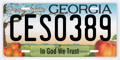 GA license plate CES0389