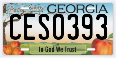 GA license plate CES0393