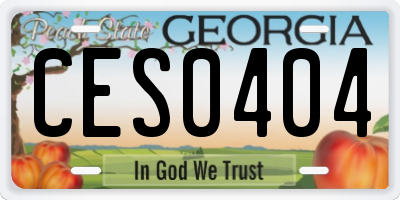 GA license plate CES0404