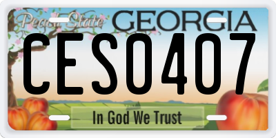 GA license plate CES0407