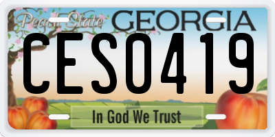 GA license plate CES0419