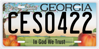 GA license plate CES0422