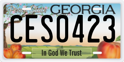 GA license plate CES0423