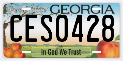 GA license plate CES0428