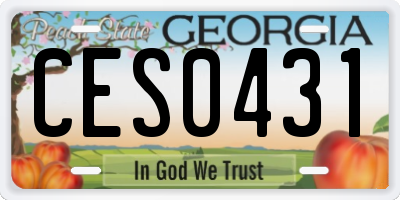 GA license plate CES0431