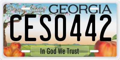 GA license plate CES0442
