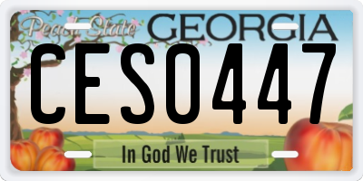 GA license plate CES0447
