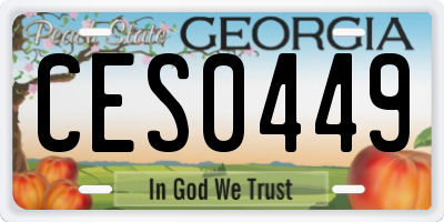 GA license plate CES0449