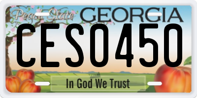 GA license plate CES0450