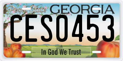 GA license plate CES0453