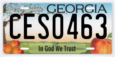 GA license plate CES0463