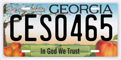 GA license plate CES0465