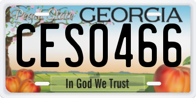 GA license plate CES0466