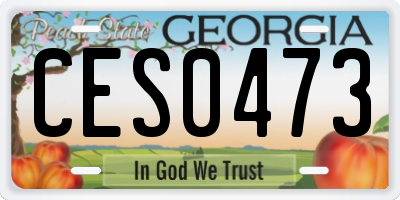 GA license plate CES0473