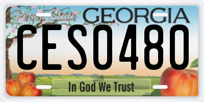 GA license plate CES0480