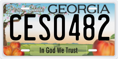 GA license plate CES0482