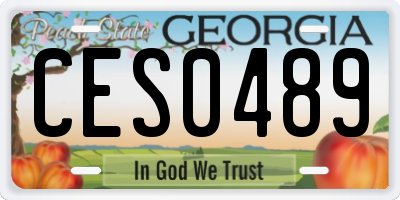 GA license plate CES0489