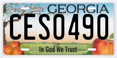 GA license plate CES0490