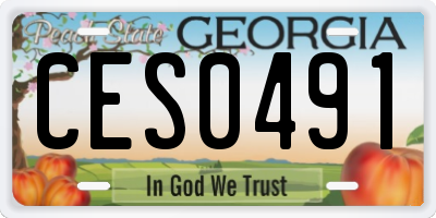 GA license plate CES0491