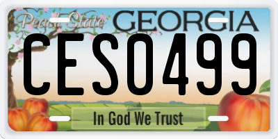 GA license plate CES0499
